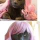 Image for article titled Glamorous Cat Wigs
